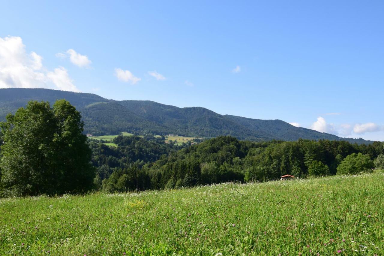 Teisenbergblick Apartment ไทเซนดอร์ฟ ภายนอก รูปภาพ